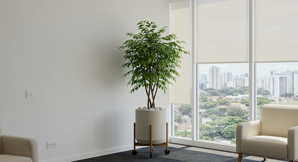 Imagem de um ambiente interno moderno e bem iluminado, com uma planta alta em vaso claro ao lado de uma grande janela. O vaso cilíndrico repousa sobre um suporte de madeira com rodinhas, e o espaço inclui móveis estofados em tons neutros, vista urbana ao fundo e iluminação natural abundante.